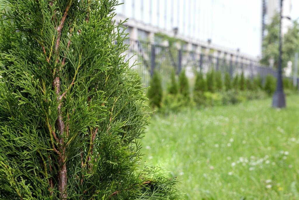 Гостиница АветПарк Санкт-Петербург-20