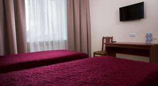 Гостиница Avetpark Hotel Санкт-Петербург Двухместный номер с 1 кроватью или 2 отдельными кроватями-5