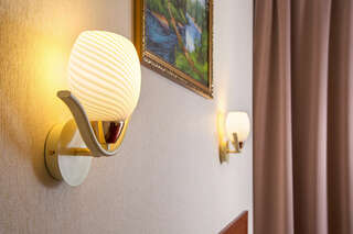 Гостиница АветПарк Санкт-Петербург Двухместный номер с 1 кроватью или 2 отдельными кроватями-2