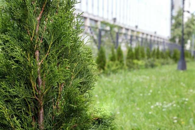 Гостиница АветПарк Санкт-Петербург-19